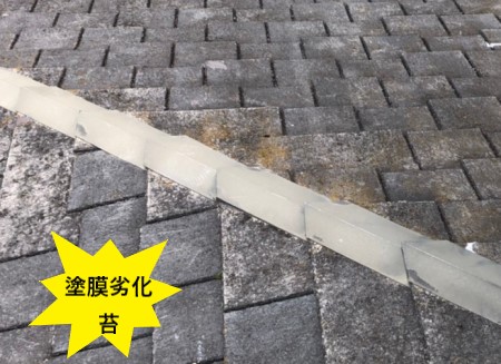 コロニアル　塗膜の劣化　苔